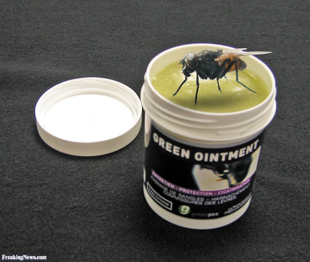 THE FLY IN THE OINTMENT